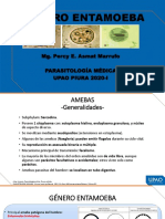 Género Entamoeba: Mg. Percy E. Asmat Marrufo Parasitología Médica Upao Piura 2020-I