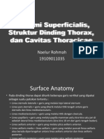 Anatomi Superficialis, Struktur Dinding Thorax, Dan Cavitas Thoracicae - Naelur R