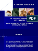 picaduradeanimalesponzoosos-090323114230-phpapp02.pdf