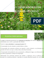 Plantas Indicadoras Fertilidade Solo PDF