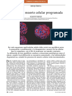 apoptosis.pdf