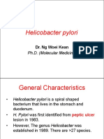 3.4 Helicobacter Pylori