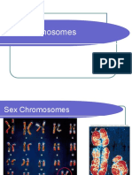 Notes about Chromosomes