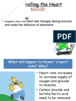 Learning Outcomes:: Explain How The Heart Rate Changes During Exercise and Under The Influence of Adrenaline