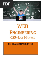 Css Lab