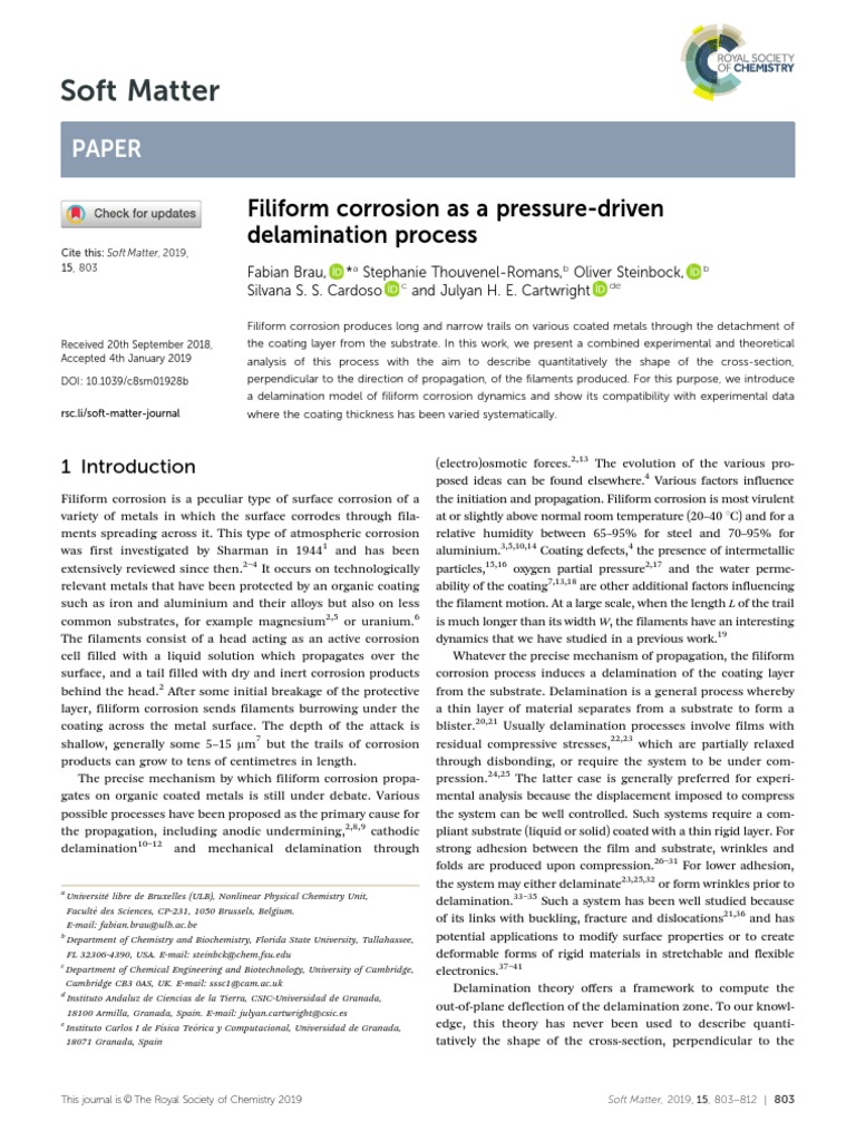 2019 Filiform Delamination | PDF | Lagrangian Mechanics | Corrosion