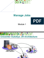 Manage Jobs in Unicenter AutoSys JM