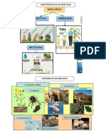 Caracteristicas de Los Seres Vivos y Funciones