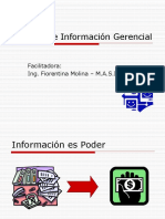 Sistema de Informacion Gerencial