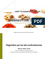 Seis Conformaciones PDF