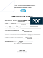 Agenda Formării Profesionale - Anul IV 1