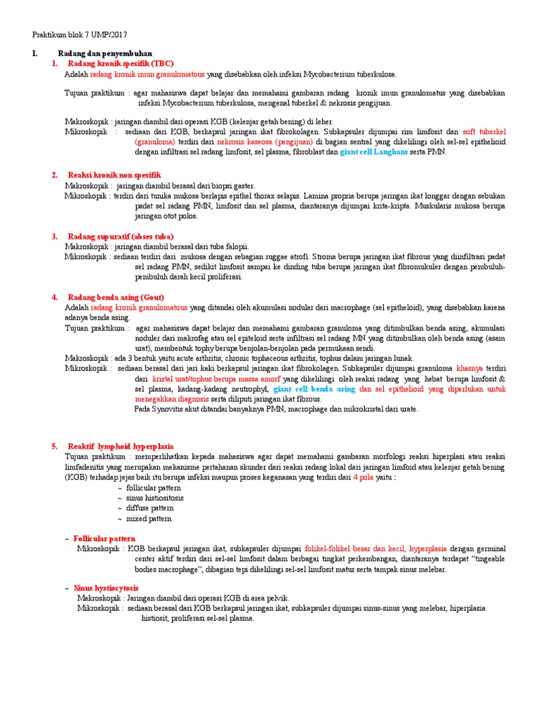 Praktikum Radang dan Penyembuhan UMP 2017 | PDF
