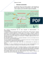 Realaciones Transtextuales PDF