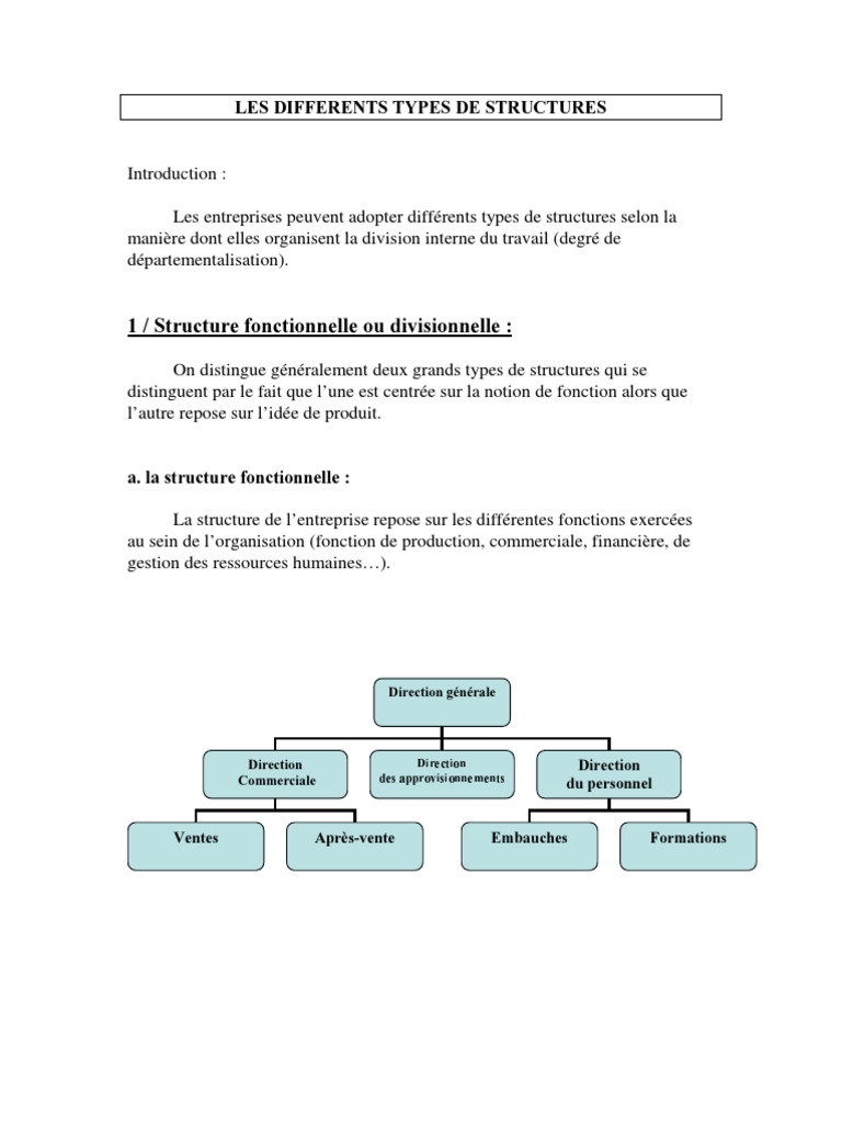 Differents Types de Structures PDF | PDF | Commercialisation | Économie