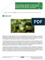 Fisica Grado 11 PDF