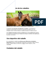 Investigacion de Como Corren Los Caballos