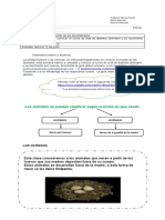 Oviparos, Ciclo de Vida