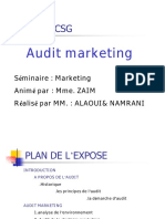 47824573 Audit Marketing