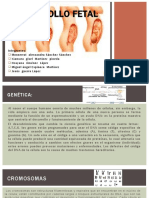 Desarrollo-fetal.pptx