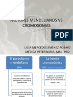 Factores Mendelianos VS Cromosomas PDF