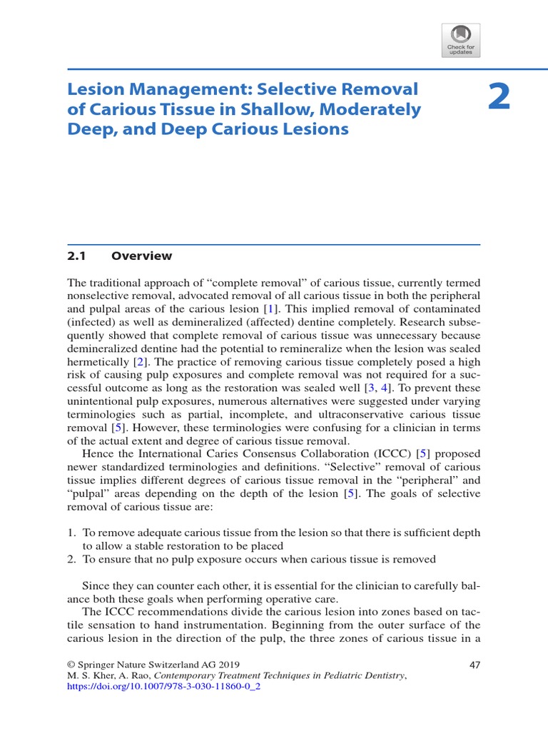 10.1007@978 3 030 11860 02 PDF | PDF | Dentin | Human Tooth