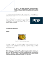 Ejemplo de Producto Acreditable 1 Exportaciondelmango PDF