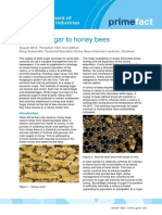 تغذية النحل بالسكر معلومات
