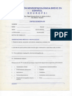 Neuropsi PDF