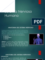 Sistema Nervioso Humano - I - 2020 PDF