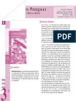 11818-guia-actividades-lisa-paraguas.pdf