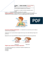 EL SISTEMA RESPIRATORIO