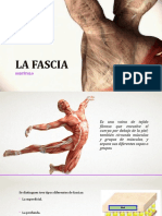 La Fascia