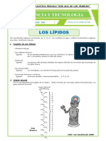 Los lípidos: funciones, ácidos grasos y clasificación