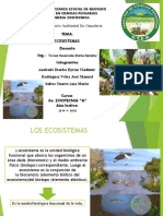 Ecosistemas Diapositivas