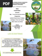 Ecosistemas Diapositivas