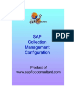 SAP Collection ManagementConfig DOC.pdf