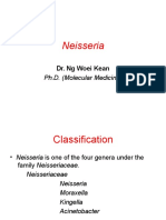 Neisseria: Dr. NG Woei Kean