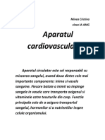 Anatomie 1 PDF