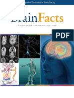 Brain Facts book.pdf