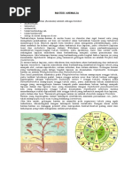 Materi Animalia X IPA.doc