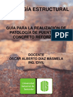 2 Ok Guia para La Realización de Patología de Puentes PDF