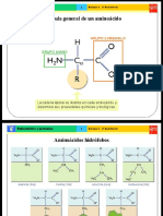 biologia6.ppt