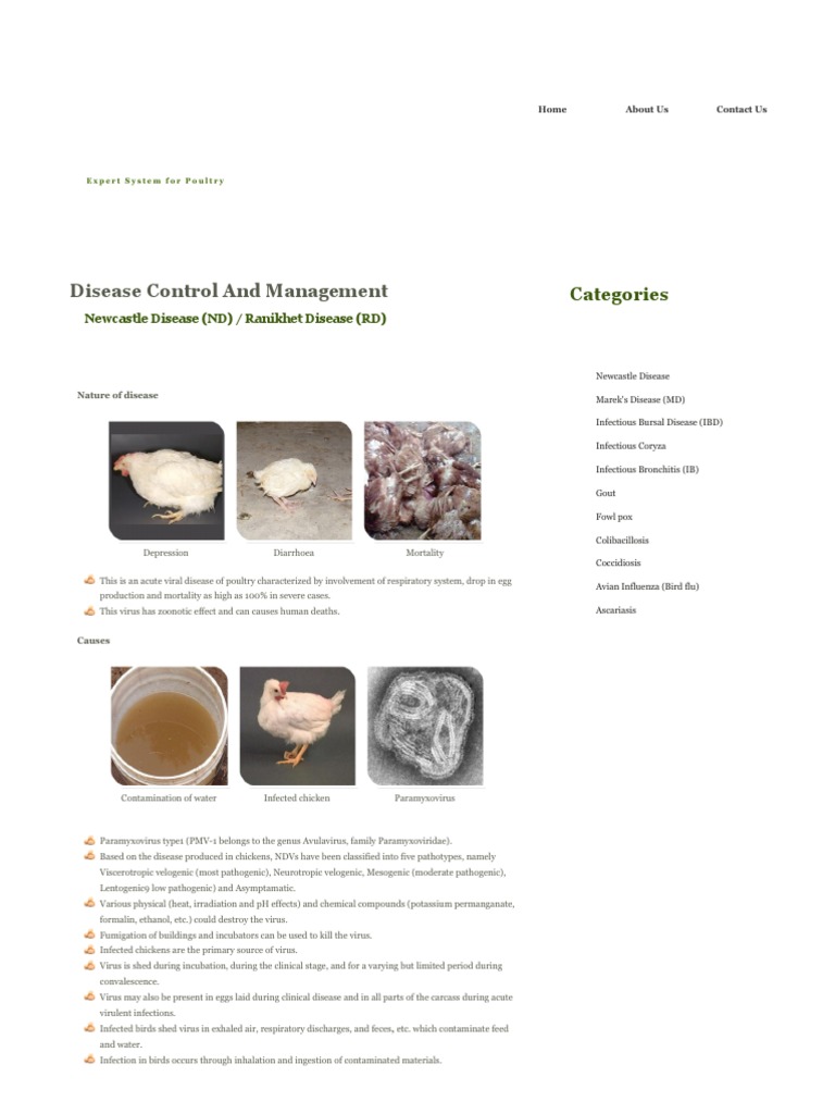 Disease Control and Management | PDF | Avian Influenza | Infection
