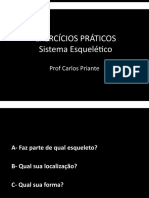 Sistema Esqueléticos EXERCÍCIOS PRÁTICOS