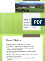 120996244-polyface.pptx