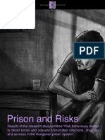 HCLU: Prison and Risks