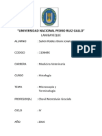 Universidad Nacional Pedro Ruiz Gall1