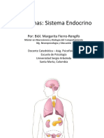 Sistema Endocrino