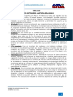 Diez Sistemas de Auditoria