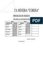 Contrata Minera "Corisa": Programa de Trabajo